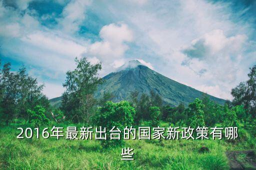 2016年什么新政策，2016年國(guó)家有什么新政策