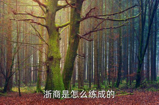 浙江商人靠什么，浙商是怎么練成的