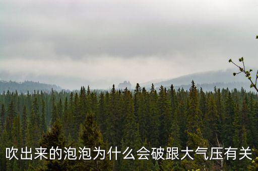 吹出來的泡泡為什么會(huì)破跟大氣壓有關(guān)