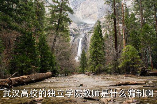 什么是獨立教師，什么是自立學校