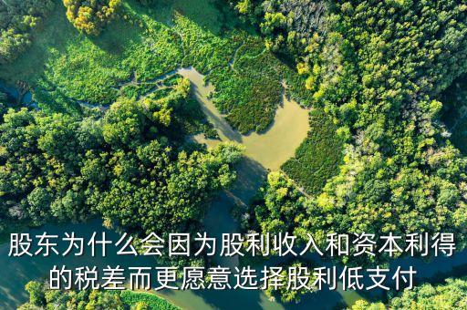 為什么發(fā)放股票股利會資本利得稅，股東為什么會因?yàn)楣衫杖牒唾Y本利得的稅差而更愿意選擇股利低支付