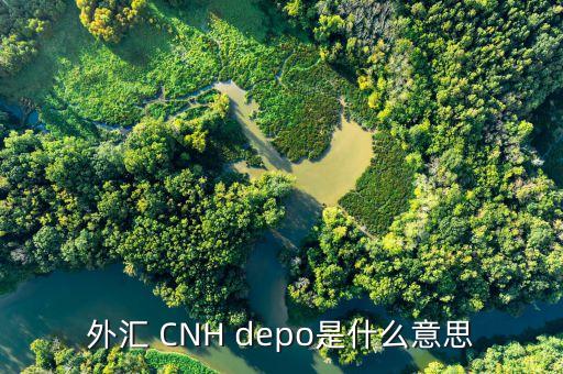 外匯de30是什么，新手一枚想知道TigerWit老虎外匯中的us30是什么意思