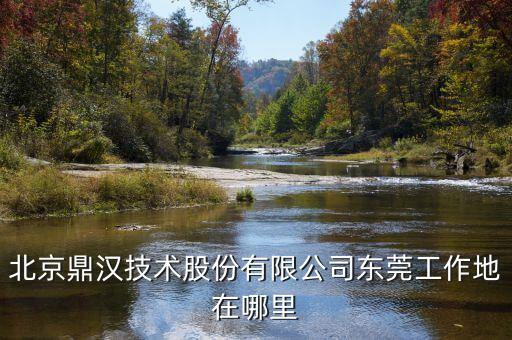 鼎漢技術(shù)主要做什么，北京鼎漢技術(shù)股份有限公司東莞工作地在哪里