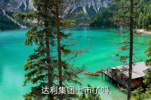 達(dá)利集團(tuán)為什么要上市，達(dá)利集團(tuán)上市了嗎