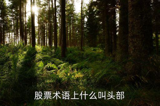 什么是股票頭部，股票術(shù)語(yǔ)上什么叫頭部
