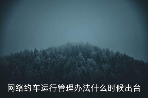 出租車改革什么時候公布，國家對出租車有什么政策改革方案