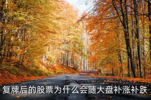 股票復(fù)牌為什么會(huì)補(bǔ)跌，復(fù)牌后的股票為什么會(huì)隨大盤(pán)補(bǔ)漲補(bǔ)跌