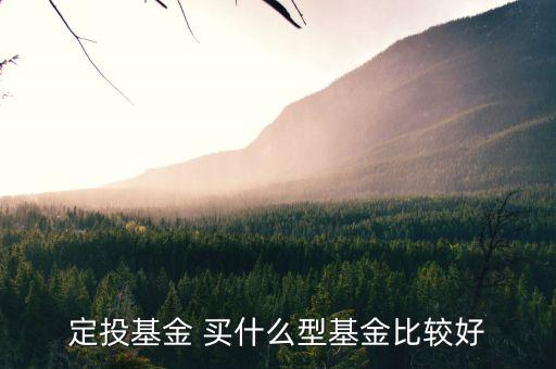 定投基金買什么最好，定投什么基金好