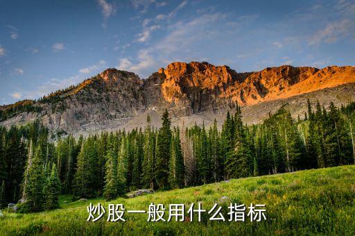 買股票看什么指標(biāo)好，股票哪個(gè)指標(biāo)最好用