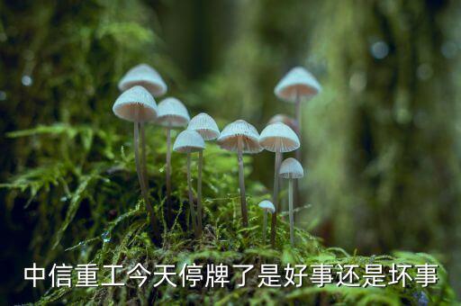 中信重工什么時候復(fù)牌，中信重工今天停牌了是好事還是壞事