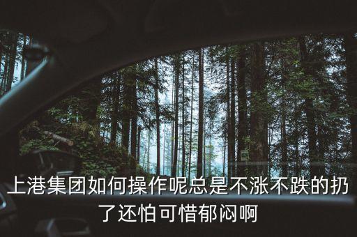 上港集團(tuán)什么級(jí)別，上港集團(tuán)振東集裝箱碼頭分公司的介紹