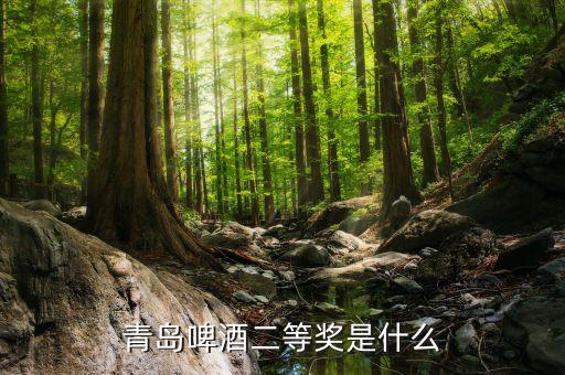 青島啤酒2等獎(jiǎng)是什么，請(qǐng)問(wèn)昨天喝了一瓶青島啤酒上面寫(xiě)了2等獎(jiǎng)是什么意思獎(jiǎng)品是什么
