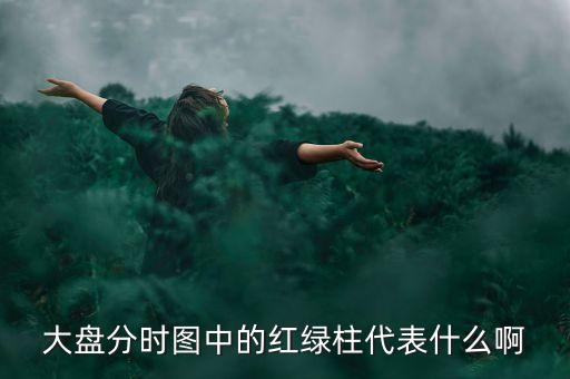 大盤分時線隨近的柱代表什么，股票分時圖下面黃藍白柱各表示什么