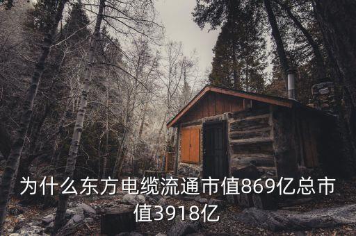 東方電纜什么時(shí)候上市，為什么東方電纜流通市值869億總市值3918億