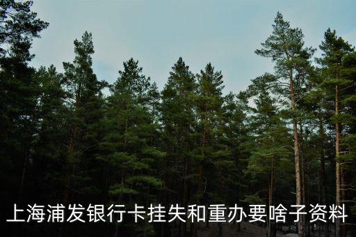 浦發(fā)銀行卡掛失需要什么，上海浦發(fā)銀行卡掛失步驟