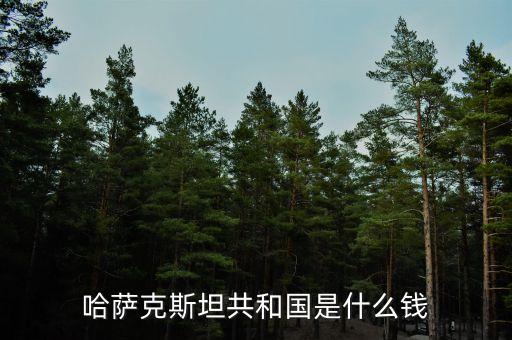 哈薩克斯坦用什么貨幣，哈薩克斯坦的貨幣名稱是什么