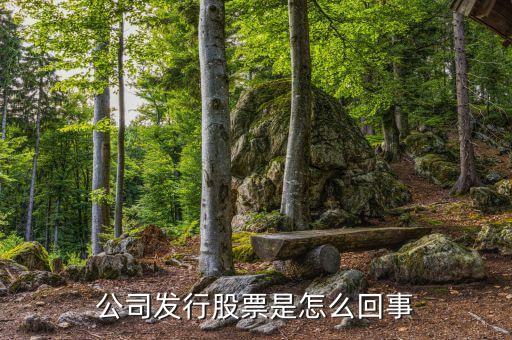 公司為什么發(fā)行股票，公司發(fā)行股票是怎么回事