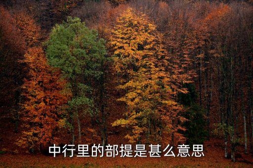 中國(guó)銀行部提是什么意思，中國(guó)銀行部提是什么意思