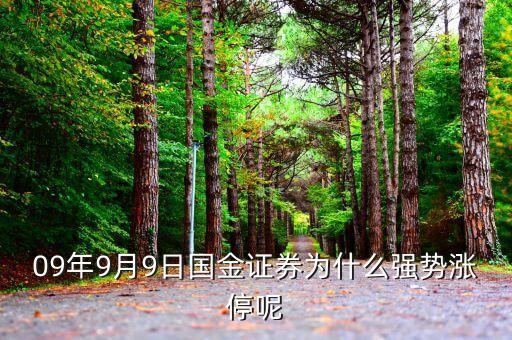 國(guó)金證券為什么漲停，股票為什么會(huì)漲停