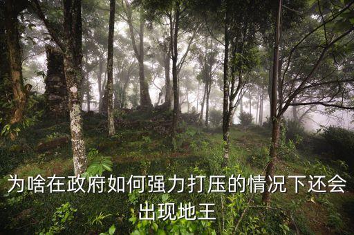 2016年為什么地王頻出，地王頻現(xiàn)傳遞什么信號(hào)