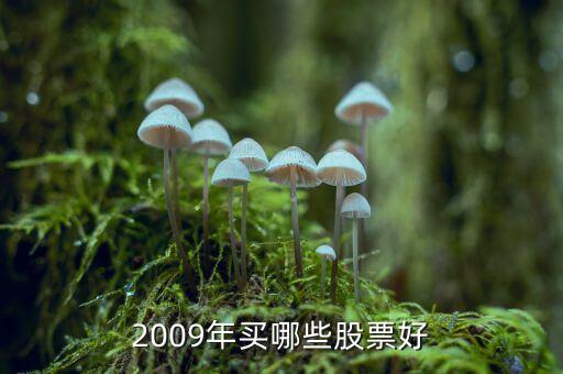 中山公用什么時(shí)候分紅，佛山農(nóng)村戶口教師轉(zhuǎn)中山非農(nóng)戶口好不好