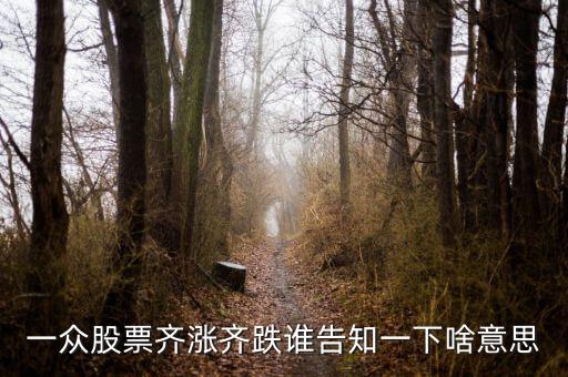 股票量價齊跌意味著什么，這幾天大盤量價齊跌從技術(shù)角度說明什么