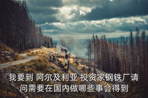 阿爾及爾投資什么好，本人打算去非洲做生意 都需要準(zhǔn)備些什么