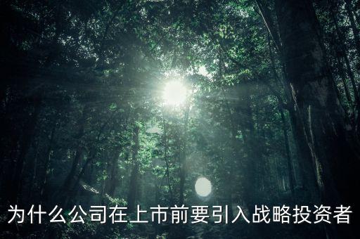 上市為什么要引入風(fēng)投，為什么公司在上市前要引入戰(zhàn)略投資者
