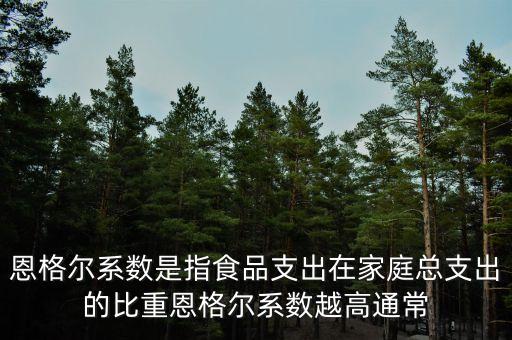 什么是恩格爾系數(shù)法，什么是恩戈?duì)栂禂?shù)