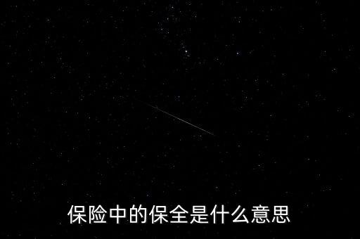 保險保全是什么，保險中的保全是什么意思