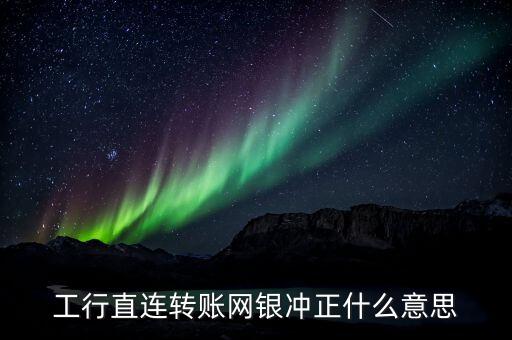 工行直連轉賬網(wǎng)銀沖正什么意思