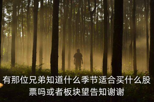 秋天什么股，秋季什么板塊股票好