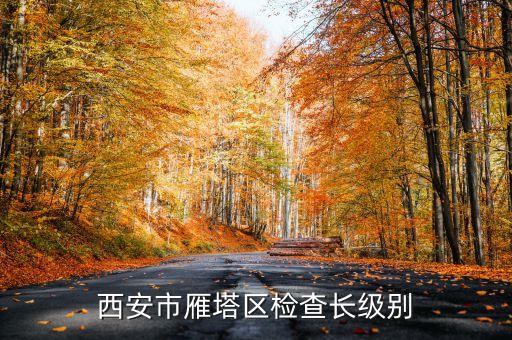 西安市正局級是什么級別，碑林分局局長級別是什么級別
