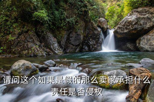請問這個(gè)如果是假的那么賣家承擔(dān)什么責(zé)任是否侵權(quán)
