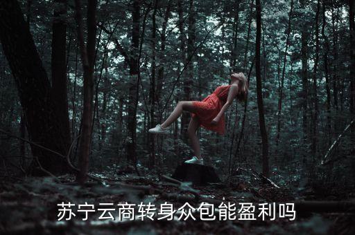蘇寧眾包什么時(shí)候上線，蘇寧云商轉(zhuǎn)身眾包能盈利嗎