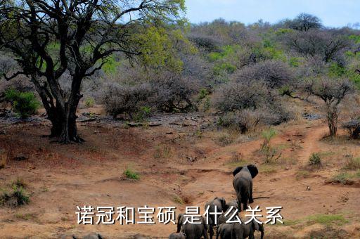 華中和寶碩有什么關(guān)系，諾冠和寶碩 是什么關(guān)系