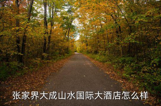 大成山水國際酒店毛致平是個(gè)什么人，大成山水老總毛致平是哪年出生的