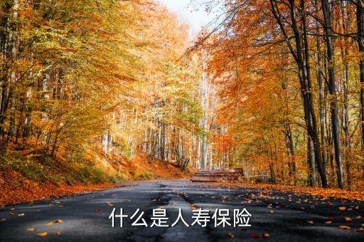 什么叫新型人壽保險，什么是人壽保險