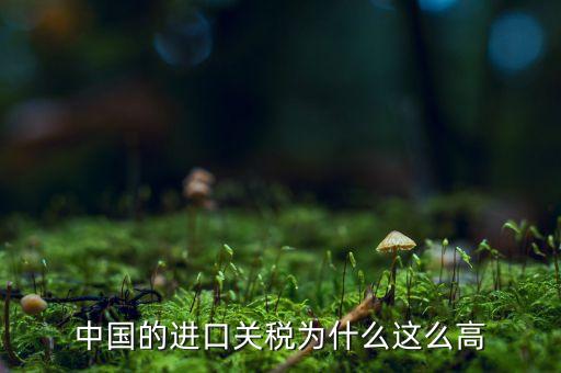 中國為什么高關(guān)稅，中國的進(jìn)口車輛關(guān)稅為什么這么高