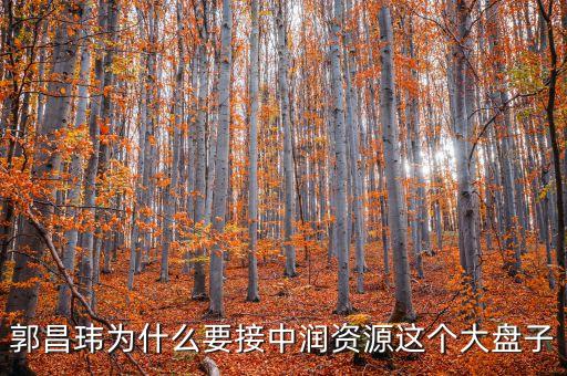 中潤(rùn)資源為什么停牌，000506中潤(rùn)資源停牌多久可以復(fù)牌