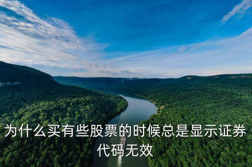 證券代碼無效什么意思，為什么買有些股票的時候總是顯示證券代碼無效
