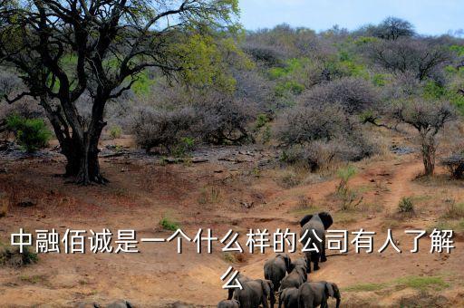 中融信誠是做什么的，中融佰誠是一個什么樣的公司有人了解么