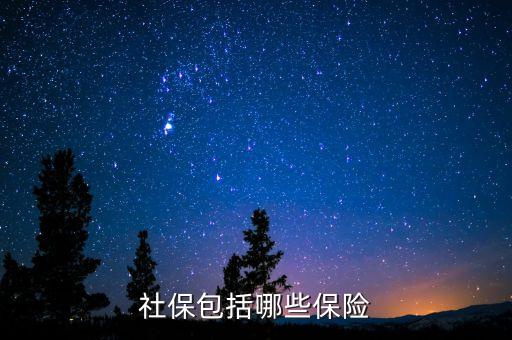 社保保險保些什么，社會保險包括哪些險