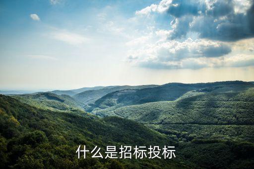 什么叫招標(biāo)率，什么是投標(biāo)利率