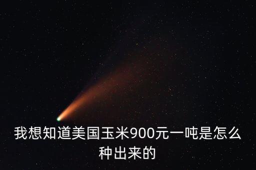 我想知道美國(guó)玉米900元一噸是怎么種出來的