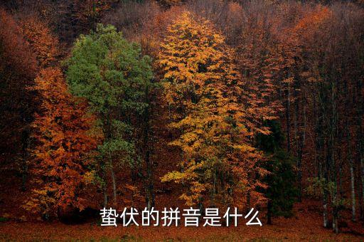 人的蟄伏期是什么，寂寂人定初中的人定是什么時候用天干地支中的回答相當
