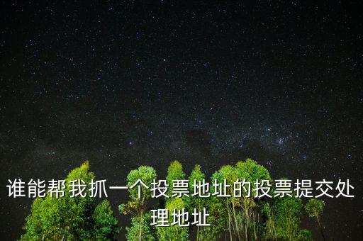 投票提交處理地址是什么，提交投票的問題怎么處理