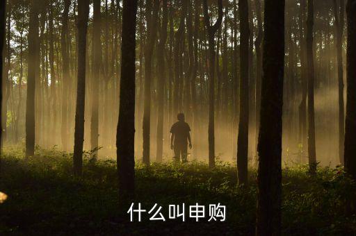 打新申購(gòu)什么意思，什么叫申購(gòu)