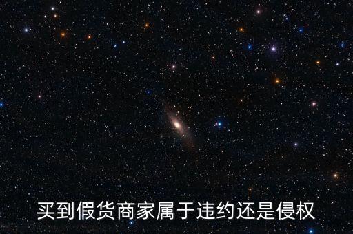 假進(jìn)口商家承擔(dān)什么責(zé)任，商家銷售假冒商品市場管理方要承擔(dān)多大的管理責(zé)任所在經(jīng)營地的