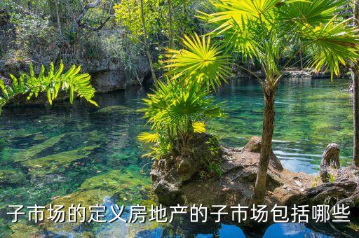 子市場的定義房地產的子市場包括哪些